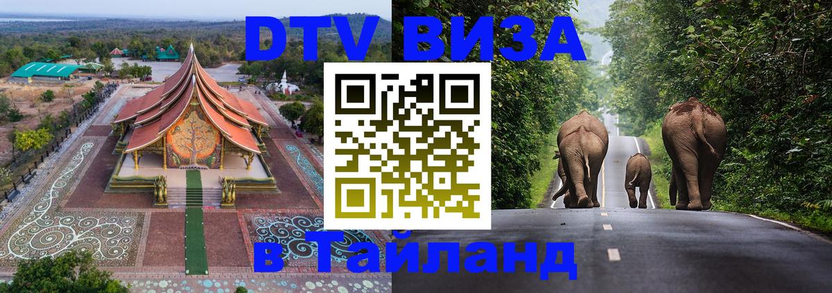Сколько стоит DTV виза — актуальные цены, оформление даже без документов - 20.11.2025 